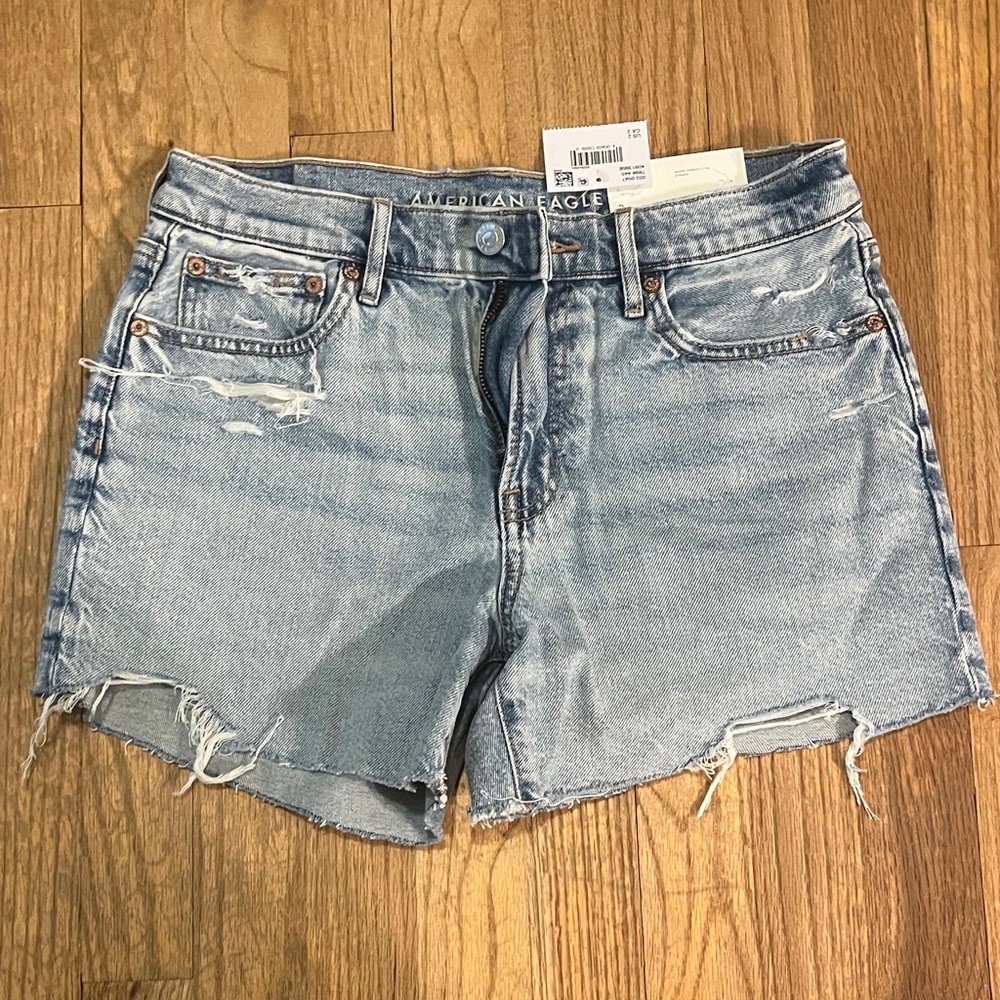 American Eagle Outfitters Light Blue Distressed Jean Shorts